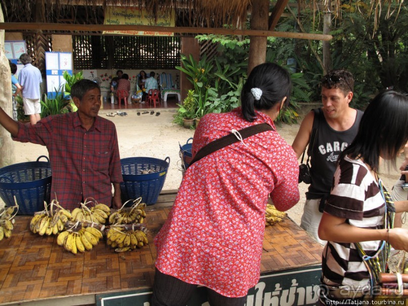Веселые и добрые слоники.