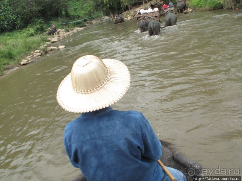 Веселые и добрые слоники.
