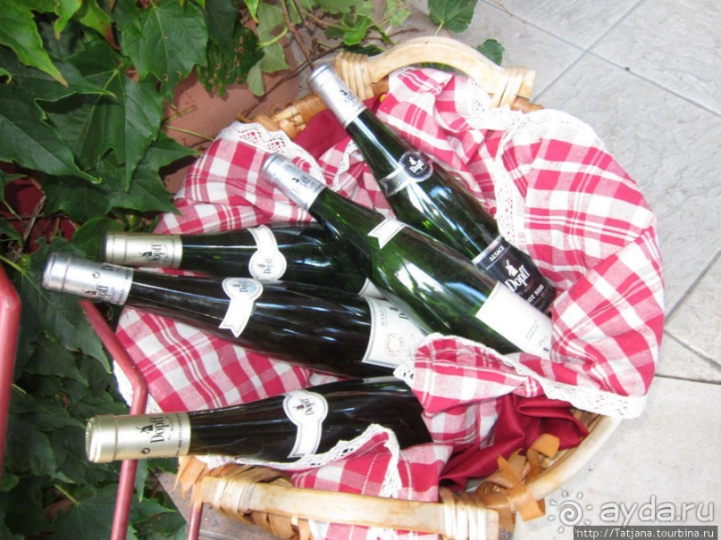 Элзаские вина и одна из самых красивых деревень Франции.