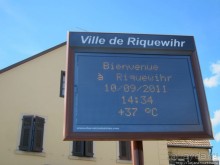 Элзаские вина и одна из самых красивых деревень Франции.