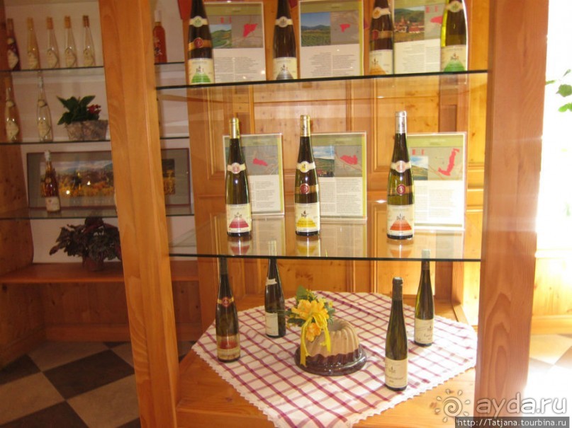 Элзаские вина и одна из самых красивых деревень Франции.