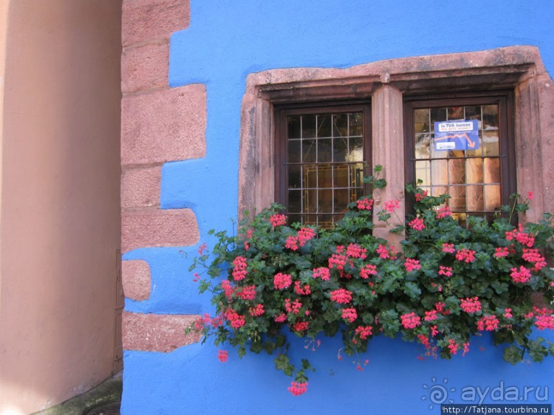 Элзаские вина и одна из самых красивых деревень Франции.