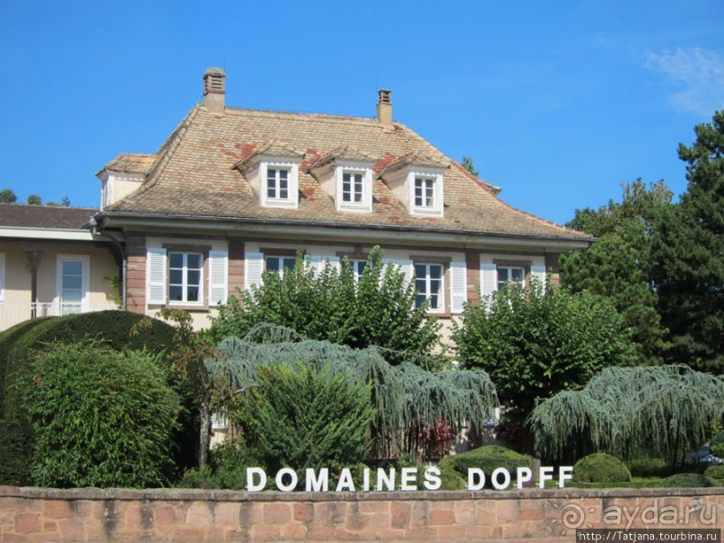 Элзаские вина и одна из самых красивых деревень Франции.