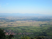 Элзаские вина и одна из самых красивых деревень Франции.