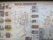 Элзаские вина и одна из самых красивых деревень Франции.