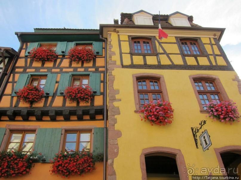 Элзаские вина и одна из самых красивых деревень Франции.