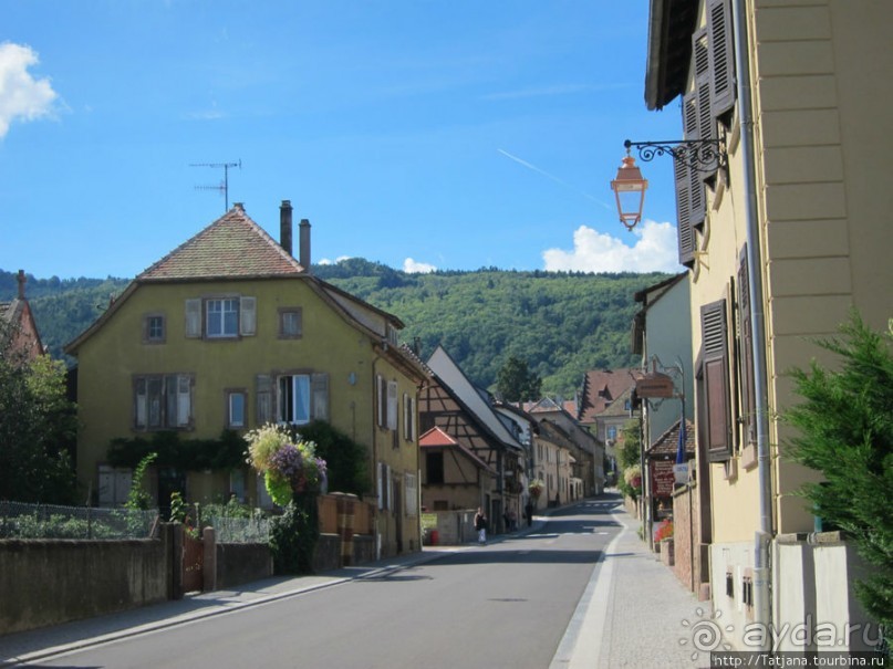 Элзаские вина и одна из самых красивых деревень Франции.