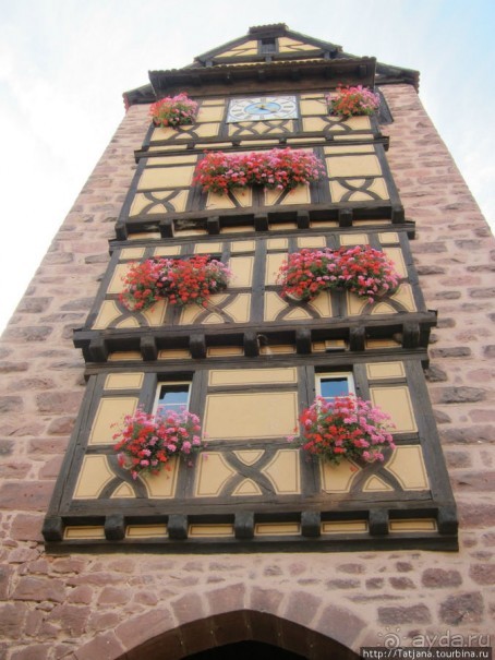 Элзаские вина и одна из самых красивых деревень Франции.