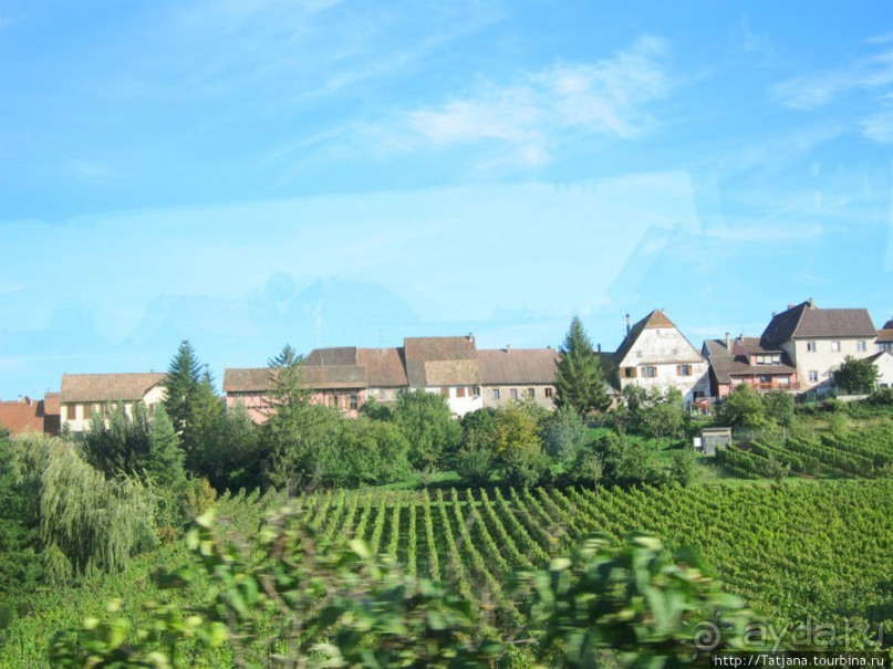 Элзаские вина и одна из самых красивых деревень Франции.
