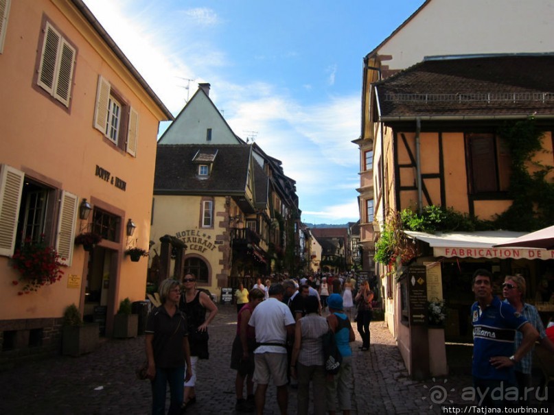 Элзаские вина и одна из самых красивых деревень Франции.