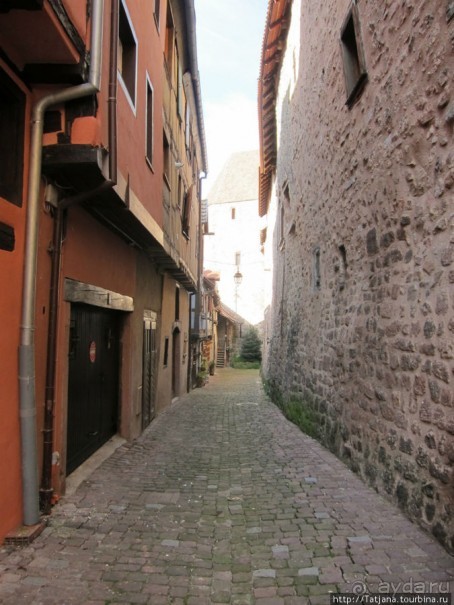 Элзаские вина и одна из самых красивых деревень Франции.