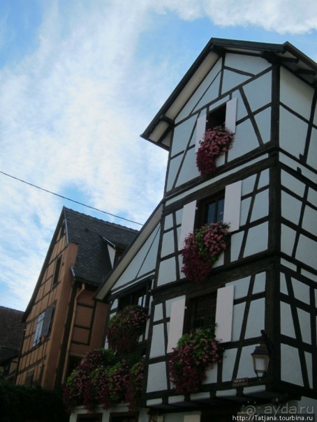 Элзаские вина и одна из самых красивых деревень Франции.