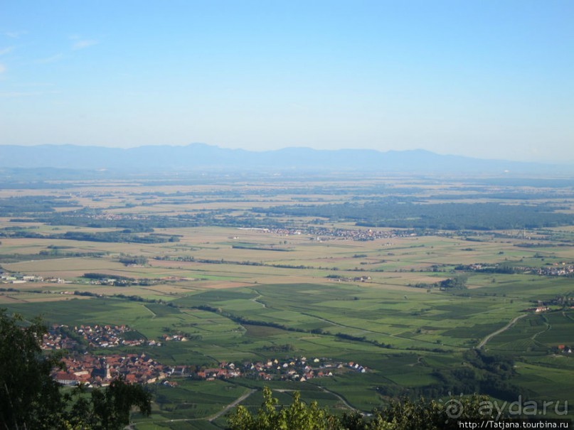 Элзаские вина и одна из самых красивых деревень Франции.
