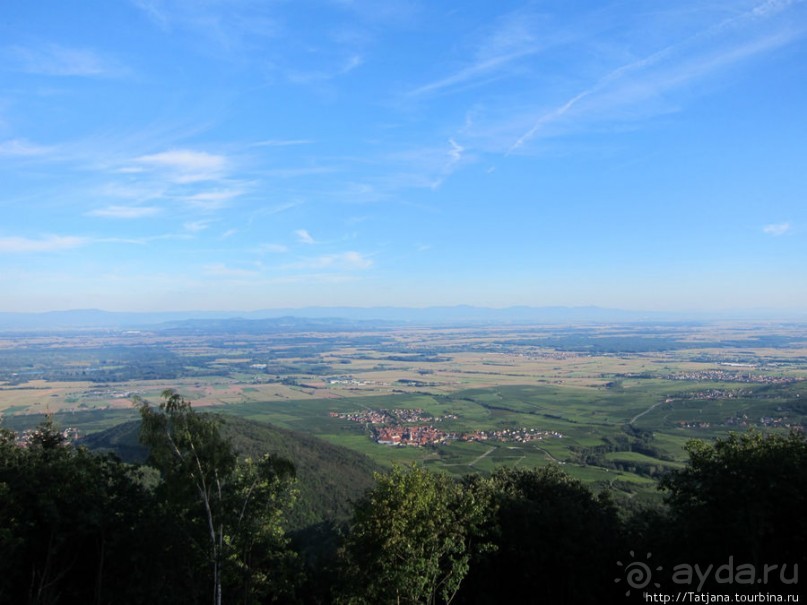 Элзаские вина и одна из самых красивых деревень Франции.