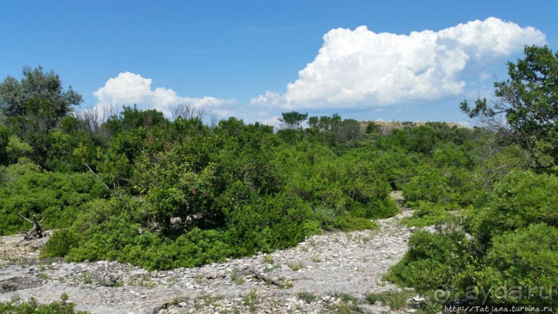 Остров Козада и руины военно-морского форта