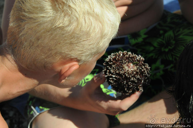 Остров Козада и руины военно-морского форта