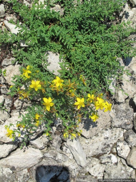 Остров Козада и руины военно-морского форта