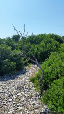 Остров Козада и руины военно-морского форта