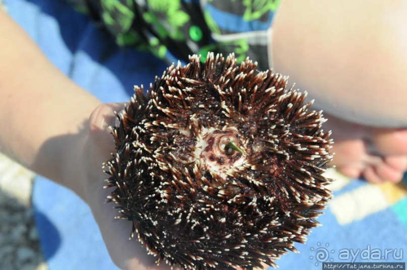 Остров Козада и руины военно-морского форта