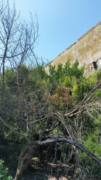 Остров Козада и руины военно-морского форта