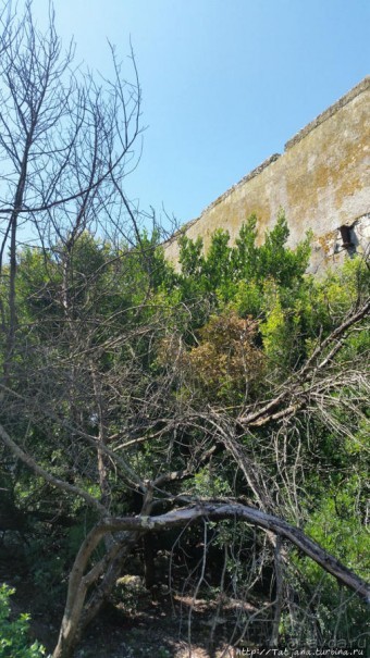 Остров Козада и руины военно-морского форта