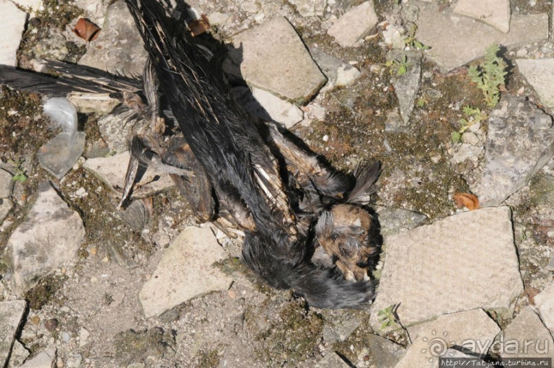 Остров Козада и руины военно-морского форта