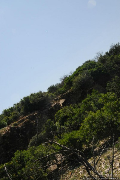 Остров Козада и руины военно-морского форта