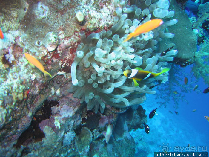 Мое первое знакомство с Красным Морем.