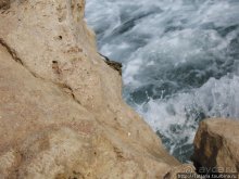 Альбом отзыва "Мое первое знакомство с Красным Морем."