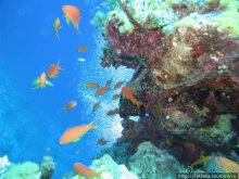 Мое первое знакомство с Красным Морем.