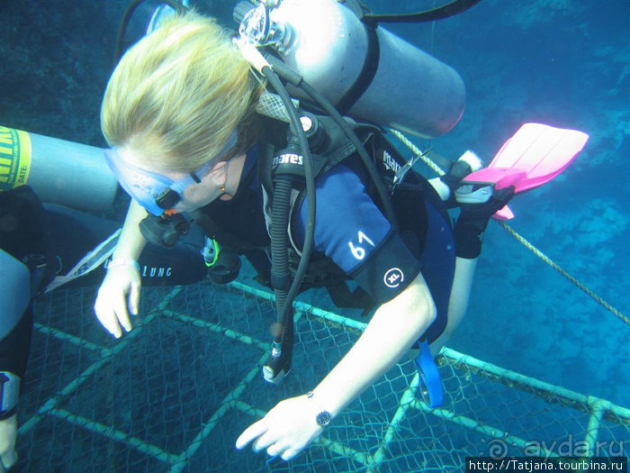 Мое первое знакомство с Красным Морем.