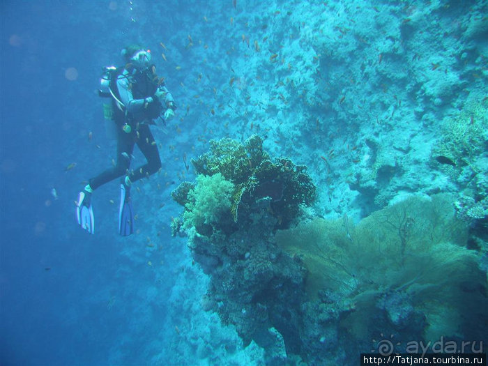 Альбом отзыва "Мое первое знакомство с Красным Морем."