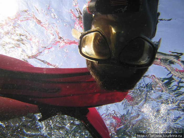 Мое первое знакомство с Красным Морем.