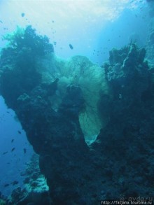 Мое первое знакомство с Красным Морем.