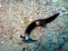 Мое первое знакомство с Красным Морем.