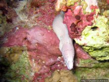 Мое первое знакомство с Красным Морем.