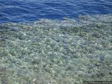 Мое первое знакомство с Красным Морем.