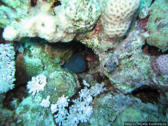 Мое первое знакомство с Красным Морем.