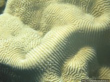 Мое первое знакомство с Красным Морем.