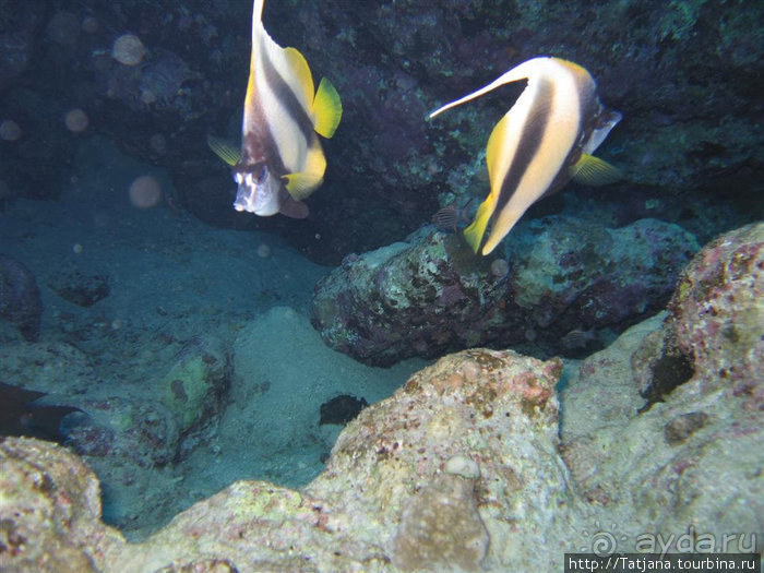 Мое первое знакомство с Красным Морем.