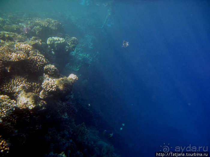 Мое первое знакомство с Красным Морем.