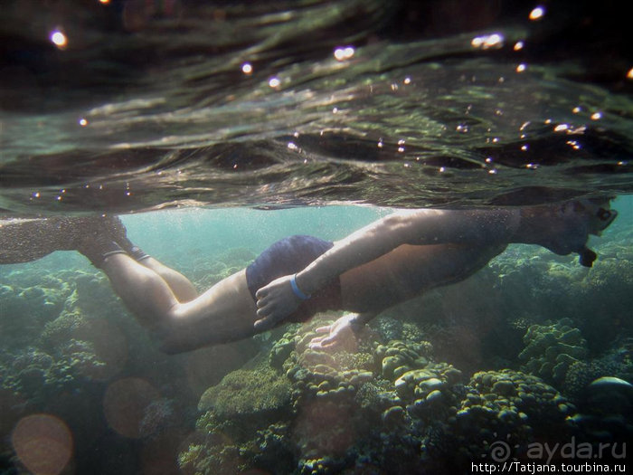 Альбом отзыва "Мое первое знакомство с Красным Морем."