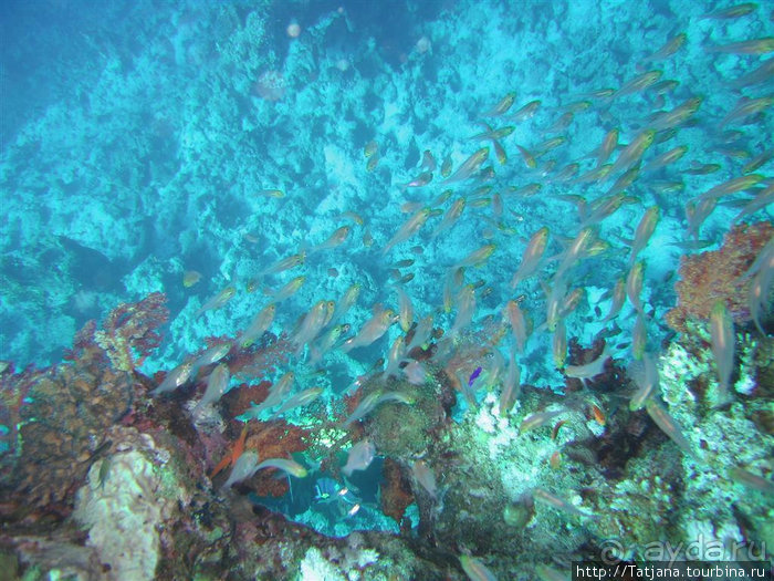 Мое первое знакомство с Красным Морем.