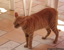 Отдых с детьми в Отеле Марабут