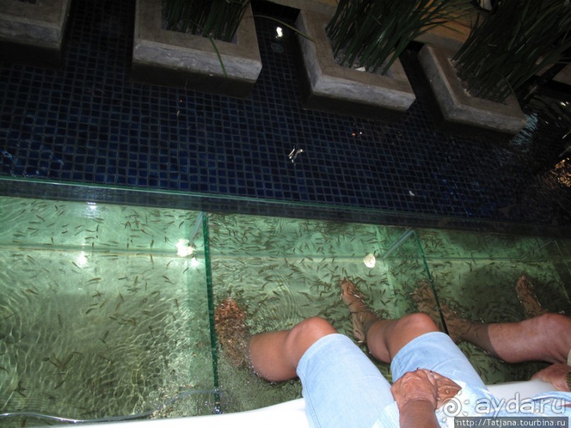 Нежный пилинг от рыбок Garra Rufa