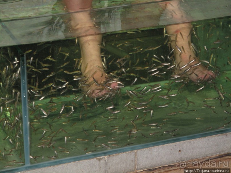 Нежный пилинг от рыбок Garra Rufa