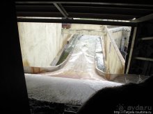 Черная мамба и остальная доза андреналина