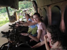 Черная мамба и остальная доза андреналина