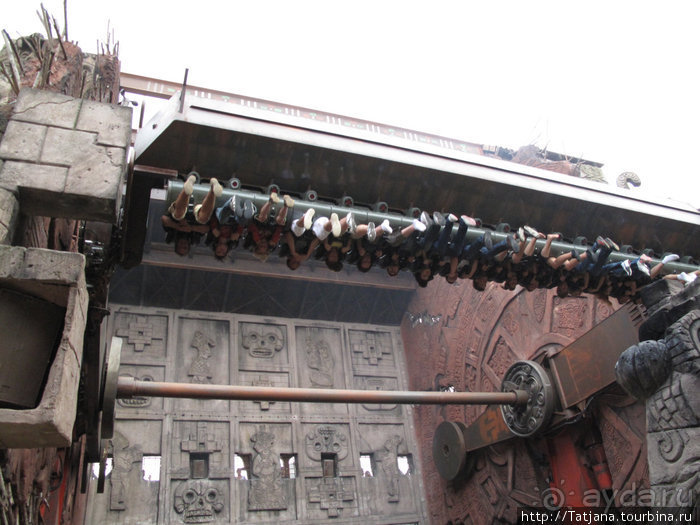 Черная мамба и остальная доза андреналина