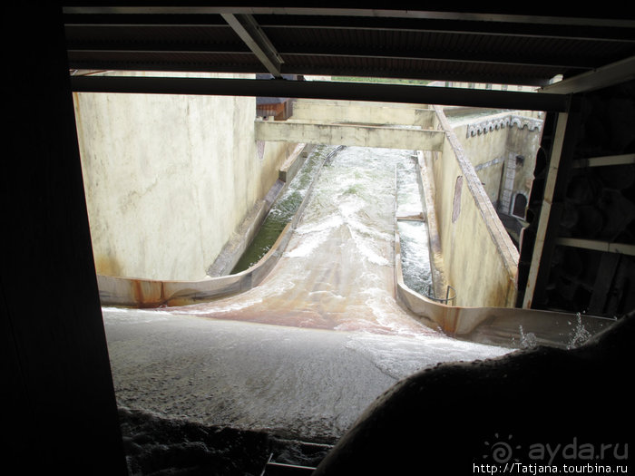 Черная мамба и остальная доза андреналина